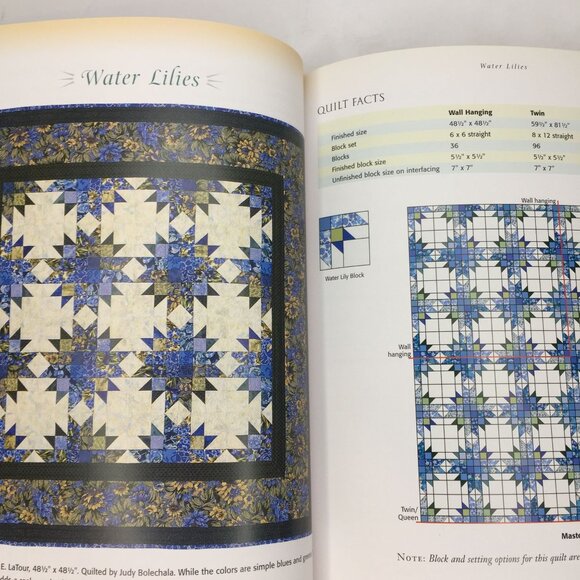 Vintage 2004 Fast-Forward Your Quilting Dina Pappas Quilt Pattern Design Book - Picture 5 of 9